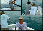 (12) montage (fishing).jpg    (1000x720)    321 KB                              click to see enlarged picture